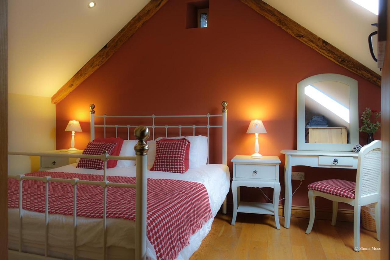 Vila Rhiwddu Barns Llangadog Pokoj fotografie