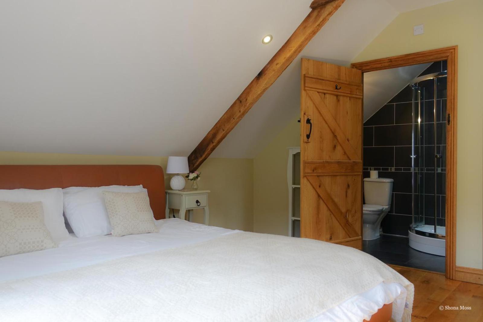Vila Rhiwddu Barns Llangadog Pokoj fotografie