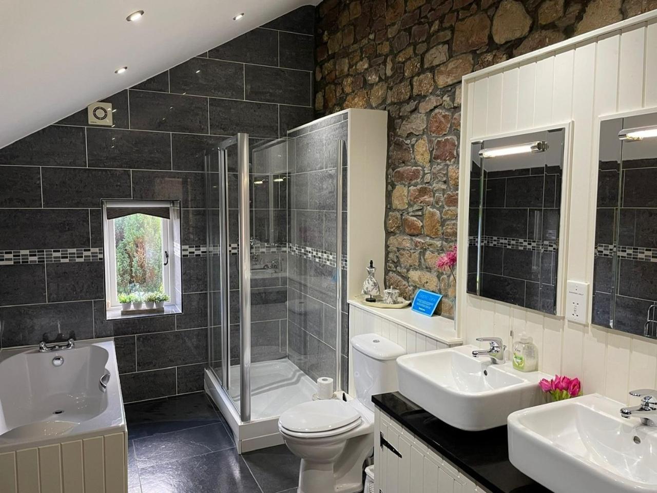 Vila Rhiwddu Barns Llangadog Pokoj fotografie