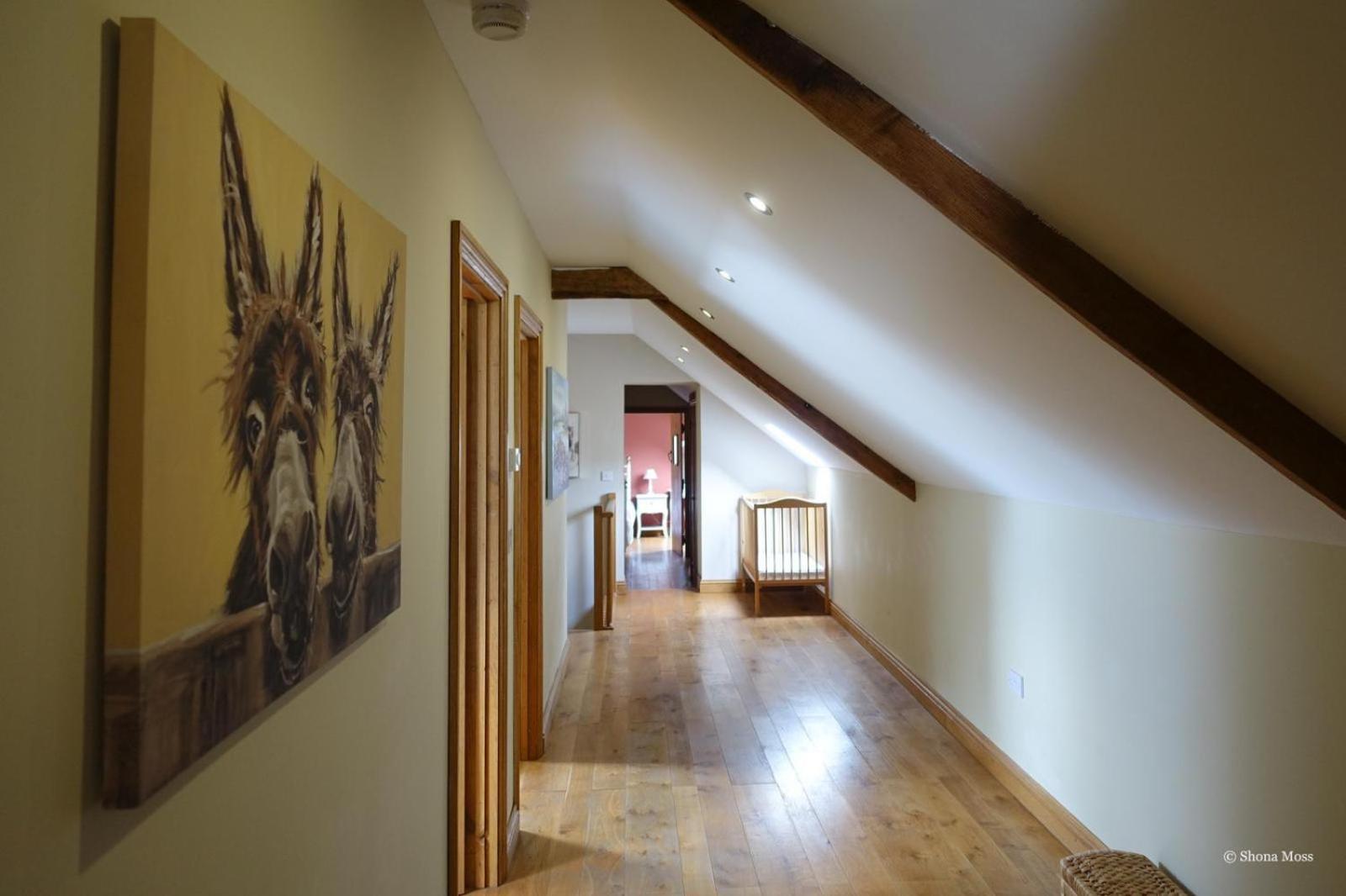 Vila Rhiwddu Barns Llangadog Pokoj fotografie